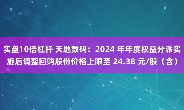 实盘10倍杠杆 天地数码：2024 年年度权益分派实施后调整回购股份价格上限至 24.38 元/股（含）