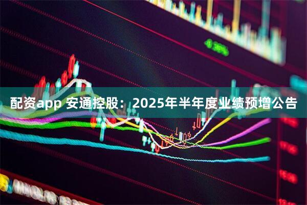 配资app 安通控股：2025年半年度业绩预增公告
