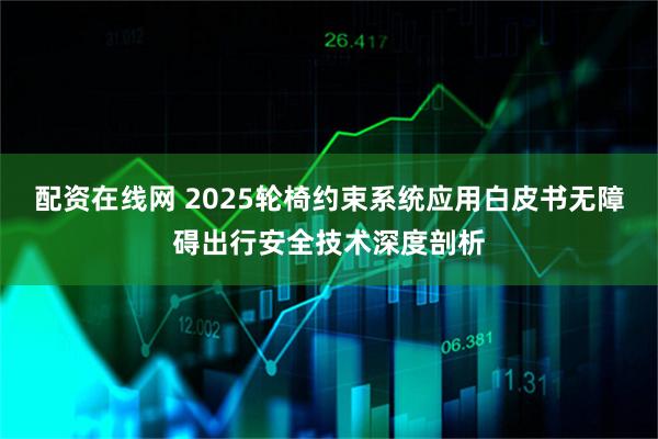 配资在线网 2025轮椅约束系统应用白皮书无障碍出行安全技术深度剖析