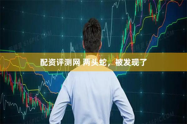 配资评测网 两头蛇，被发现了