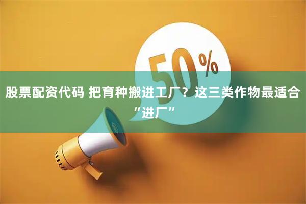 股票配资代码 把育种搬进工厂？这三类作物最适合“进厂”