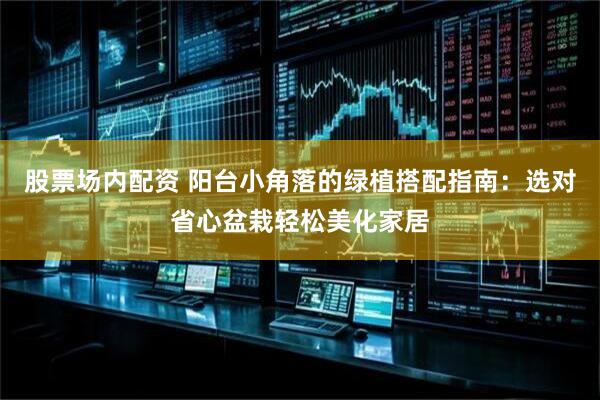 股票场内配资 阳台小角落的绿植搭配指南：选对省心盆栽轻松美化家居