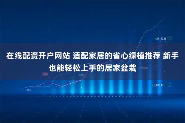 在线配资开户网站 适配家居的省心绿植推荐 新手也能轻松上手的居家盆栽